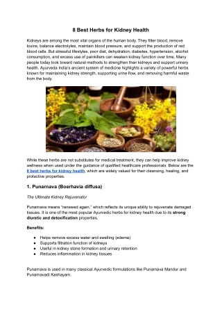 8 Best Herbs for Kidney Health