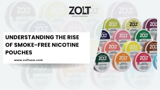 Understanding the Rise of Smoke-Free Nicotine Pouches