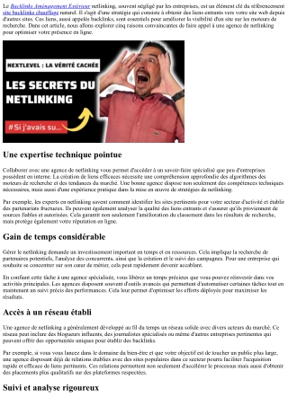 5 raisons de faire appel à notre agence de netlinking