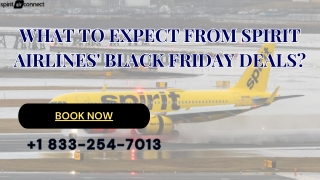 Spirit Airlines' Black Friday Deals