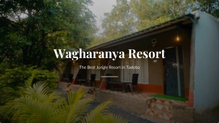 Wagharanya Resort - The Best Luxury Jungle Stay in Tadoba