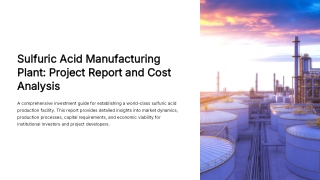 Comprehensive Sulfuric Acid Production Cost Breakdown 2025 PPT