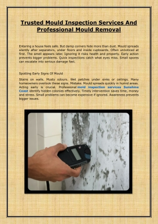 Trusted Mould Inspection Services And Professional Mould Removal
