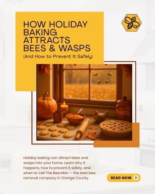 How Holiday Baking Attracts Bees & Wasps (And How to Prevent It Safely)