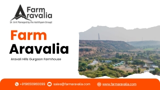 Aravali Hills Gurgaon Farmhouse