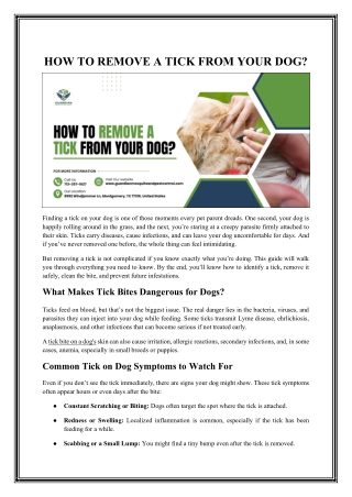 How to Remove a Tick from Your Dog Safely and Easily