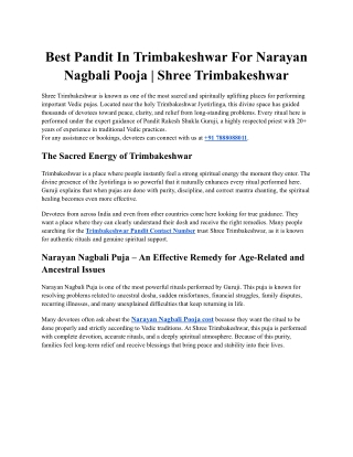 Best Pandit In Trimbakeshwar For Narayan Nagbali Pooja | Shree Trimbakeshwar