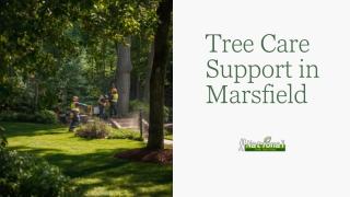 Reliable Tree Maintenance Services for Safer Landscapes