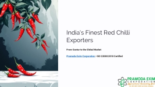 Indias-Finest-Red-Chilli-Exporters