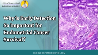 Dr. Seema PDF About Endometrial Cancer