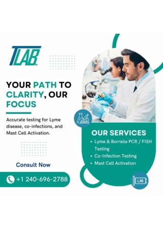 Advanced Lyme and Co-Infection Testing for Clear Answers