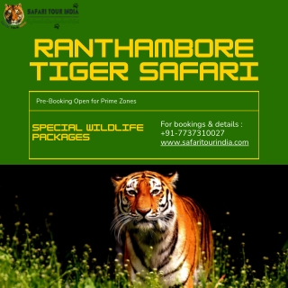 Safari Tour India – Best Ranthambore Tiger Safari & Jhalana Leopard Safari Booki