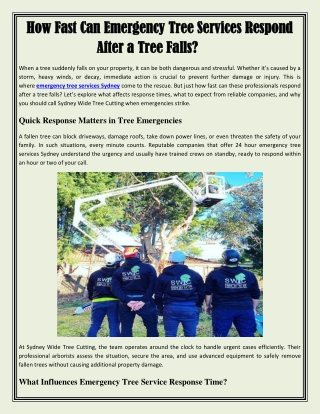 How Fast Can Emergency Tree Services Respond After a Tree Fall1