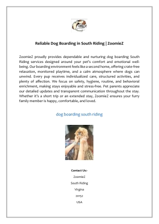 Reliable Dog Boarding in South Riding | ZoomieZ