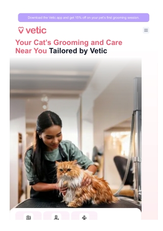 Finding Cat Grooming Near Me​​​​: A Guide for Pet Parents