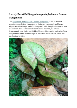 Syngonium podophyllum Bronze – Stylish Indoor Decorative Houseplant