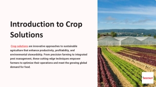 Introduction-to-Crop-Solutions