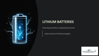 LITHIUM BATTERIES | RoboCraftStore – India’s Premier EV Battery Supplier