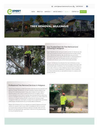 Tree Removal Mulgrave