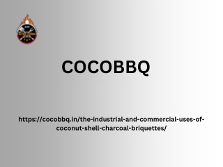 The Industrial and Commercial Uses of Coconut Shell Charcoal Briquettes