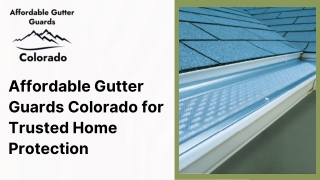 Affordable Gutter Guards Colorado for Trusted Home Protection