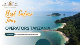 Best Safari Tour Operators Tanzania | ChaleMa Tanzania Safaris