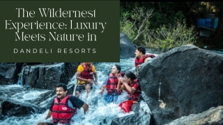 The Wildernest Experience Luxury Meets Nature in Dandeli Resorts