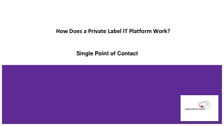 How Does a Private Label IT Platform Work_