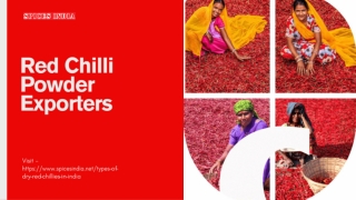 Red Chilli Powder Exporters