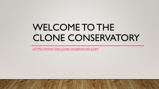 Clones for Sale near me