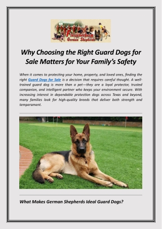 Why Choosing the Right Guard Dogs for Sale Matters for Your Family