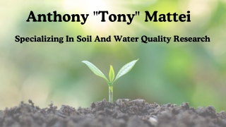 Anthony "Tony" Mattei - Specializing In Soil And Water Quality Research