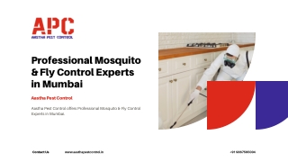 AasthaPestControl - Professional Mosquito & Fly Control Experts in Mumbai