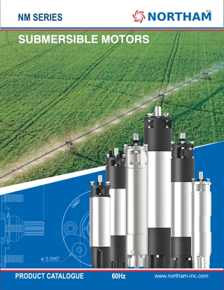 Premium 6-Inch Submersible Motors in the USA – Northam Inc