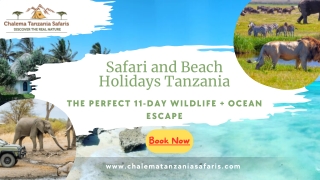 Safari and Beach Holidays Tanzania | 11 Days Wildlife & Zanzibar Escape