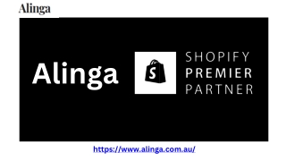 Intelligent and Scalable Shopify Support Plans