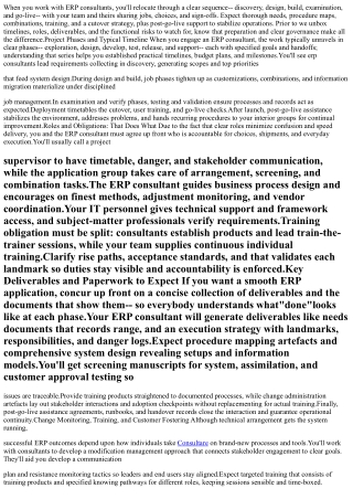 What to Expect During an ERP Consulting Engagement