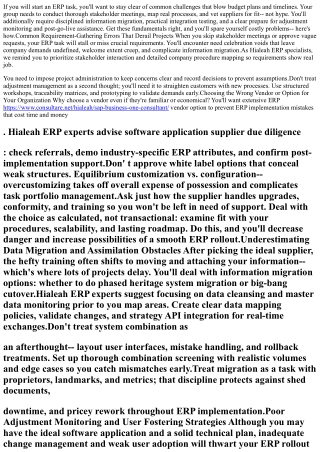 Staying Clear Of ERP Execution Errors: Insights From Hialeah's Trusted ERP Profe