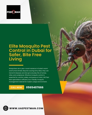 Elite Mosquito Pest Control in Dubai for Safer, Bite Free Living
