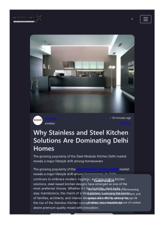 Why Stainless and Steel Kitchen Solutions Are Dominating Delhi Homes