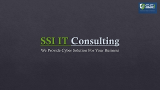 SSI IT Consulting Germany PDF  28-11-2025