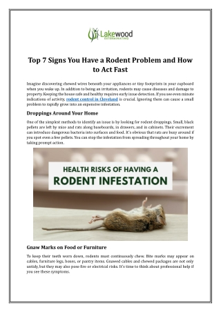 Top 7 Signs You Have a Rodent Problem and How to Act Fast