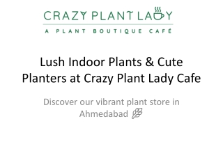 Lush Indoor Plants & Cute Planters at Crazy Plant Lady Cafe, Ahmedabad