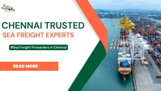 Premium Sea Freight Forwarders in Chennai | Easyway Logistics