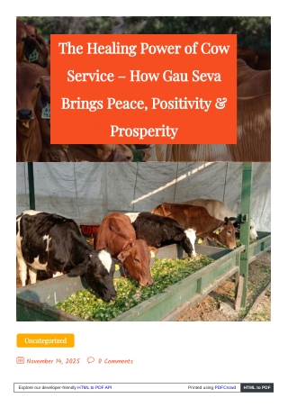 Cow Service for Peace, Positivity and Prosperity – Why Gau Seva Matters