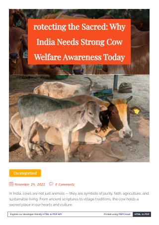 Protecting the Sacred — Why India Needs Strong Cow Welfare Awareness Today