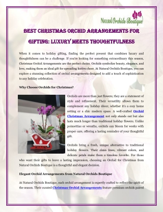 Best Christmas Orchid Arrangements for Gifting Luxury Meets Thoughtfulness