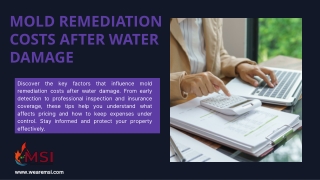 Mold Remediation Costs After Water Damage