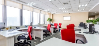 Birla Opus Prime Office Paint Solutions for Workspaces That Inspire Productivity