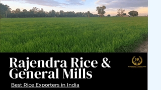 Basmati Rice Exporters | Rajendra Rice & General Mills